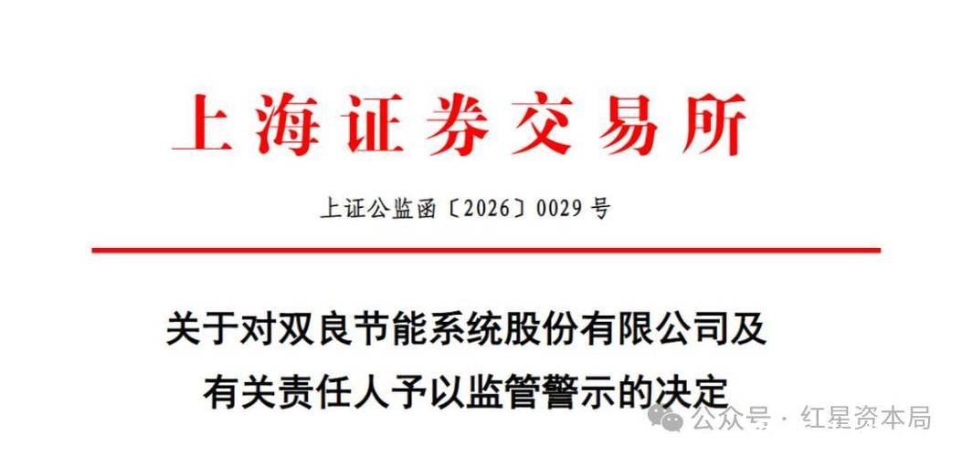 双良节能:上交所“打假”股价应声跌停,高负债与续亏压力并存 双良节能:上交所“打假”股价应声跌停,高负债与续亏压力并存