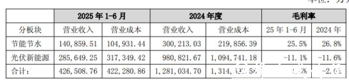 双良节能:上交所“打假”股价应声跌停,高负债与续亏压力并存 双良节能:上交所“打假”股价应声跌停,高负债与续亏压力并存